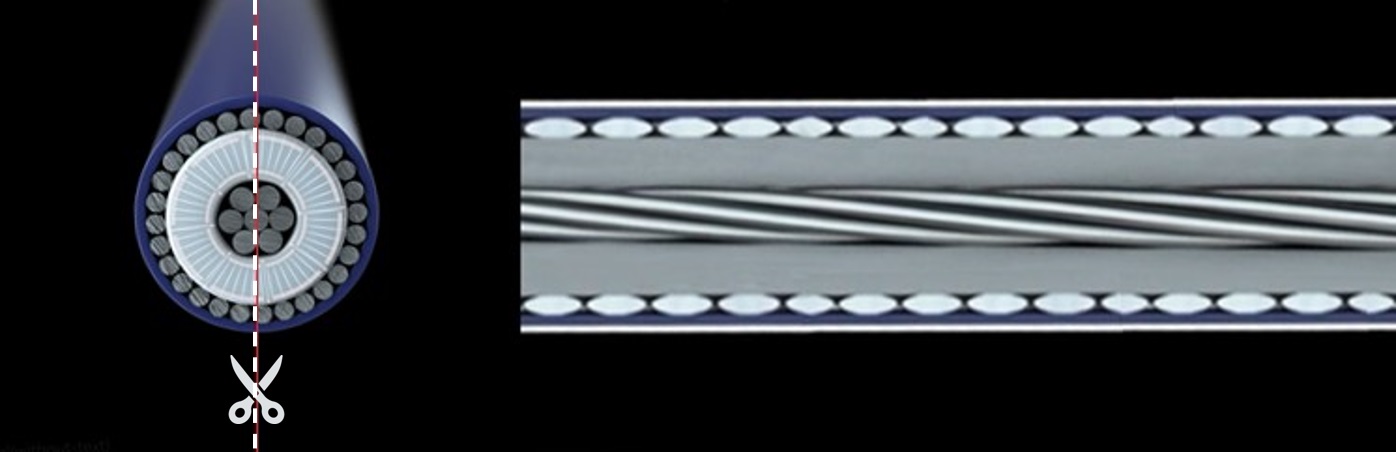 Fig4_A